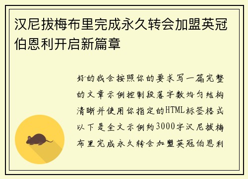 汉尼拔梅布里完成永久转会加盟英冠伯恩利开启新篇章
