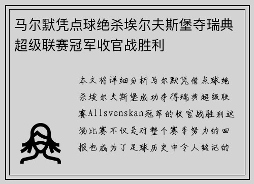 马尔默凭点球绝杀埃尔夫斯堡夺瑞典超级联赛冠军收官战胜利